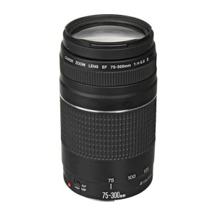Lente Canon Ef-s 75-300mm F/5.6 Aumento Máximo 0,25x