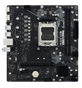 Mother Biostar A620MS AM5