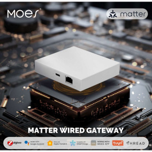 Domótica Moes MZHUB Hub Zigbee Matter Tuya WiFi Ga