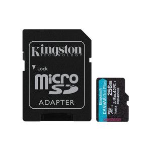 MICROSD 256GB CANVAS GO PLUS