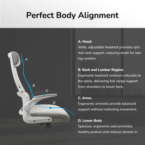 Silla Cougar Stryder Black