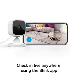 Cámara Interior Usb Blink Mini X2 Visión Nocturna