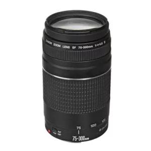 Lente Canon Ef-s 75-300mm F/5.6 Aumento Máximo 0,25x
