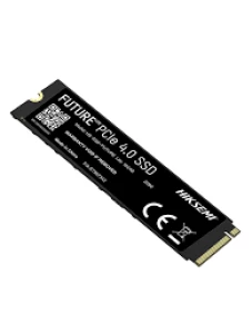 SSD INT NVME FUTURE LI 1024G
