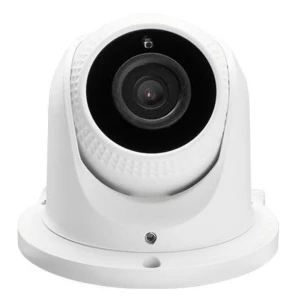 Cámara Ip Domo 2Mp Zkteco Smart