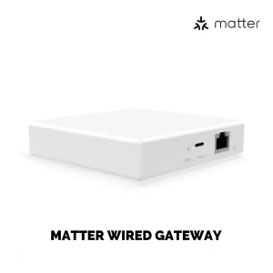 Domótica Moes MZHUB Hub Zigbee Matter Tuya WiFi Ga