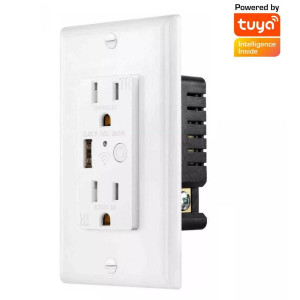 Enchufe De Pared Wifi Tuya Smart