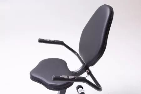 Bicicleta fija Randers horizontal