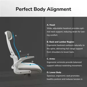 Silla Cougar Stryder Black