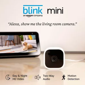 Cámara Interior Usb Blink Mini 1 Visión Nocturna