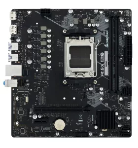Mother Biostar A620MS AM5