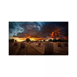Pantallas Samsung Video Wall 55